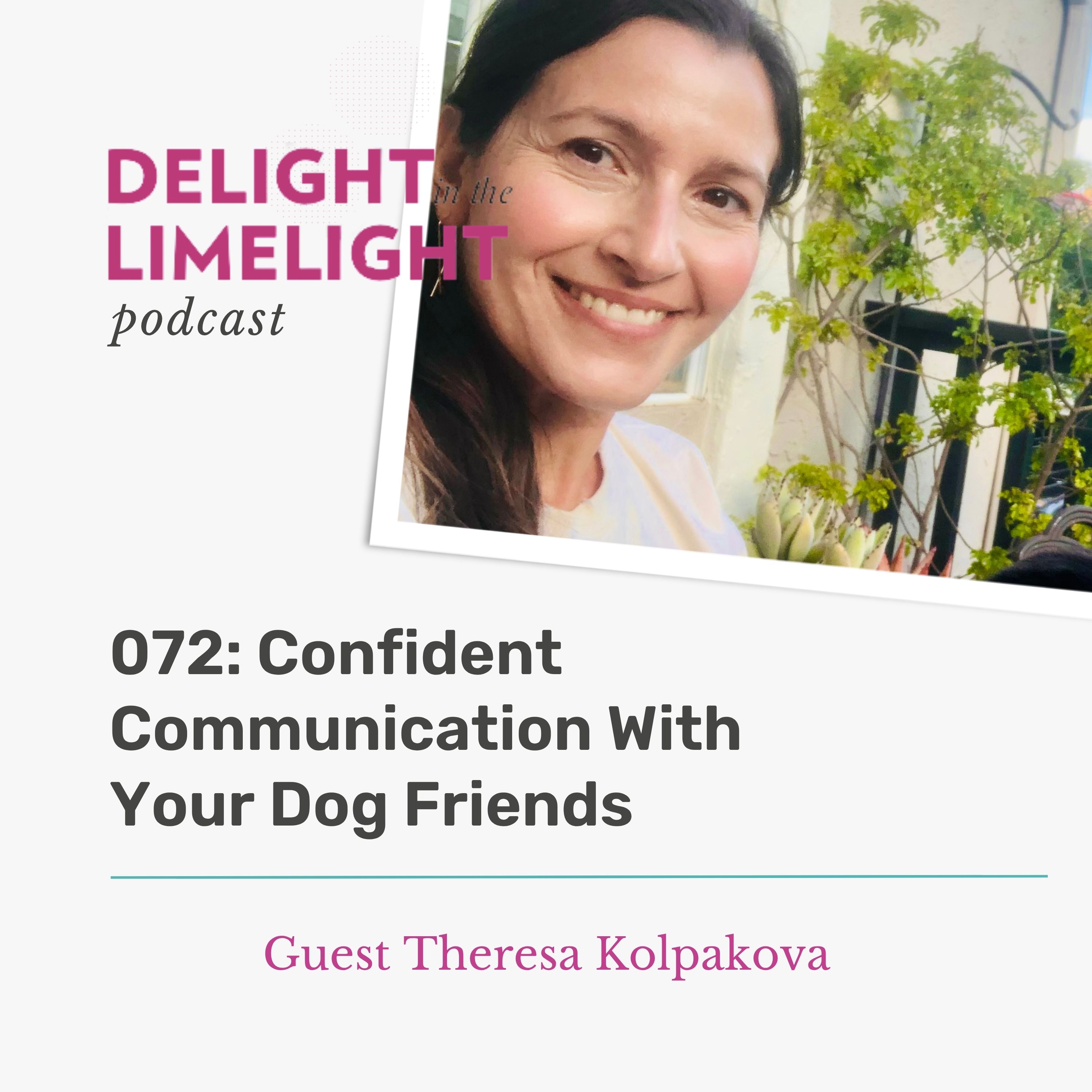 072. Confident Communication With Your Dog Friends