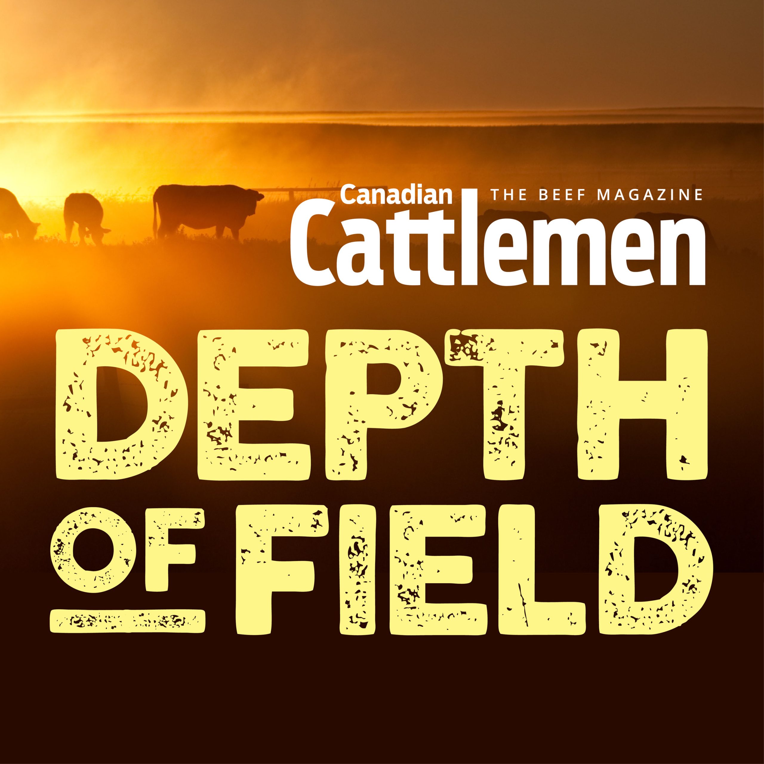 Canadian Cattlemen Presents: Depth of Field