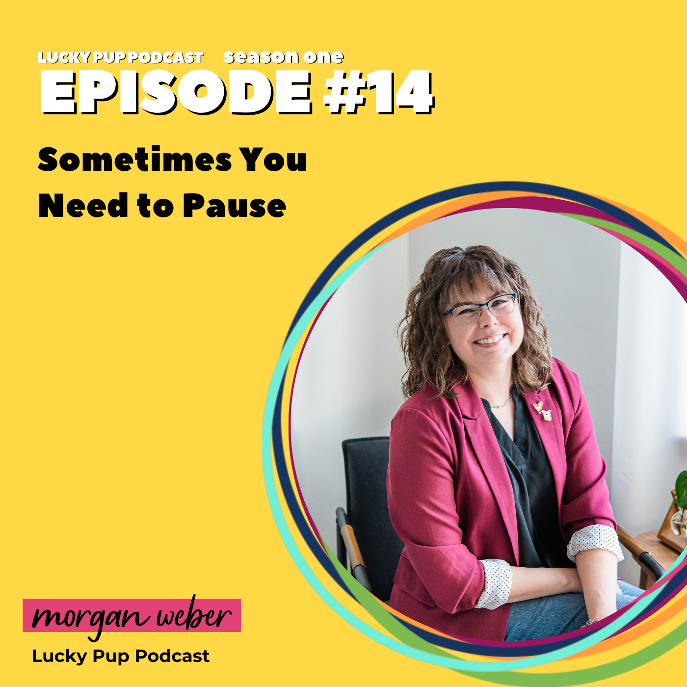 S1/E14: Sometimes You Need to Pause episode artwork