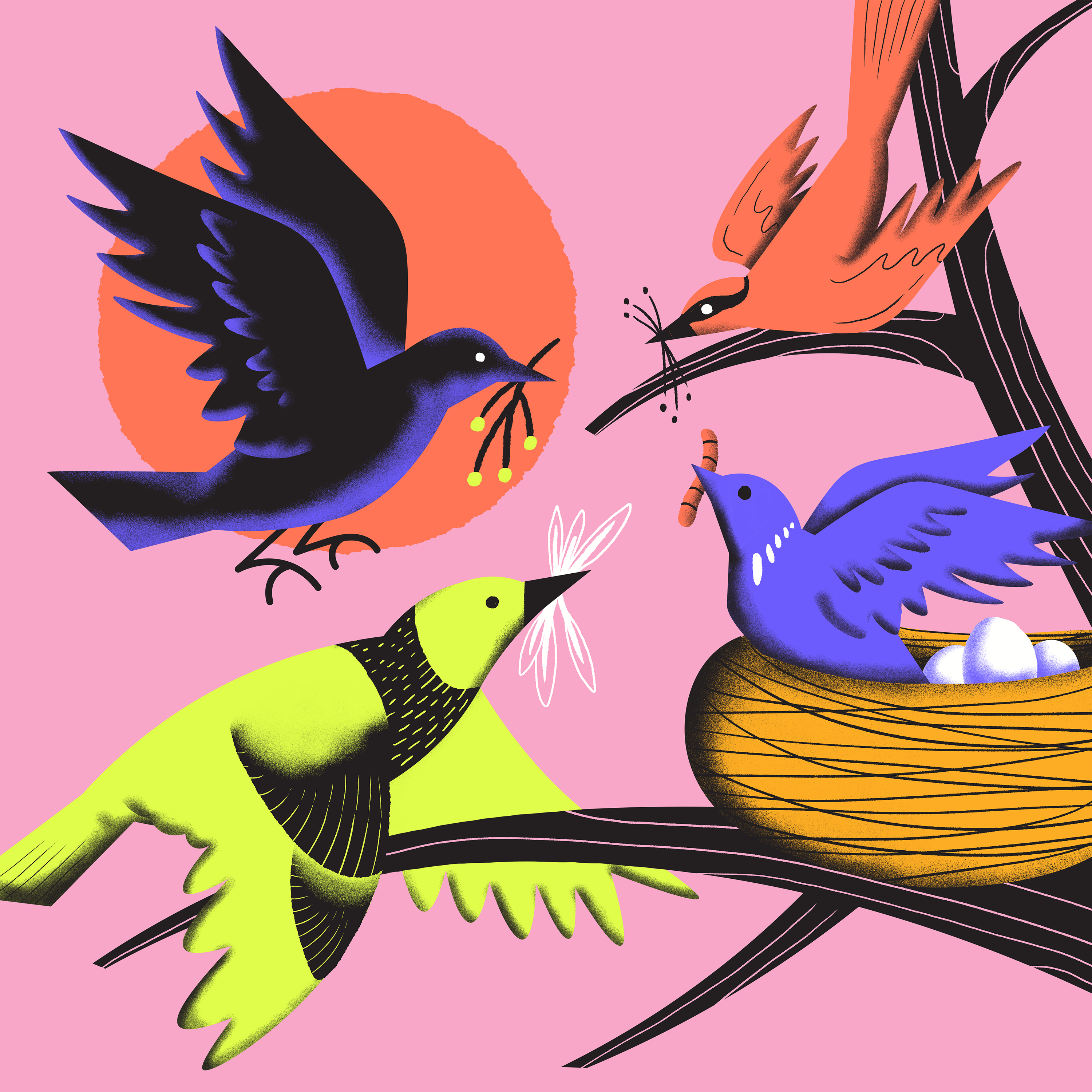 Resource Sharing & Authentic Community Collaborations