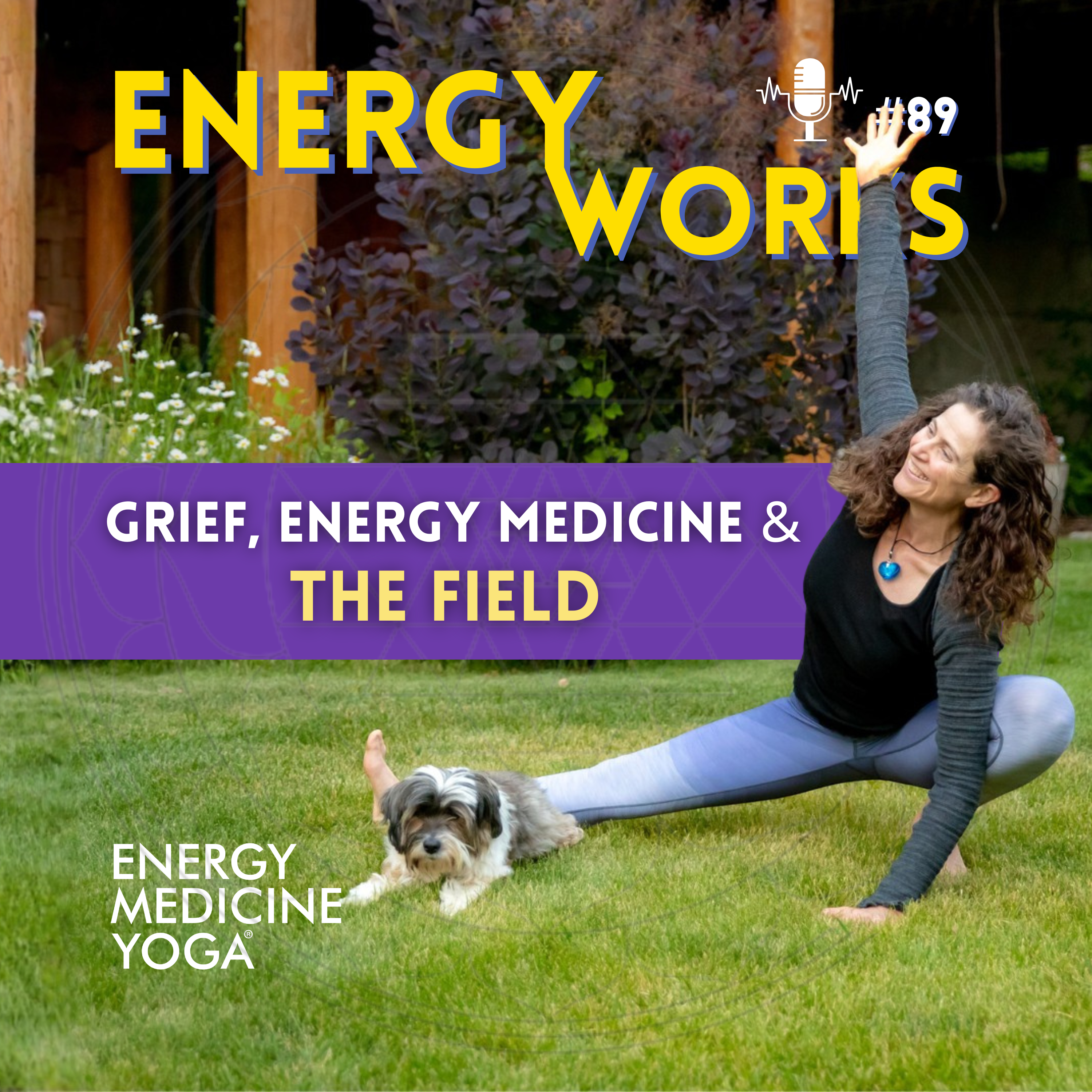 Grief, Energy Medicine & The Field episode artwork
