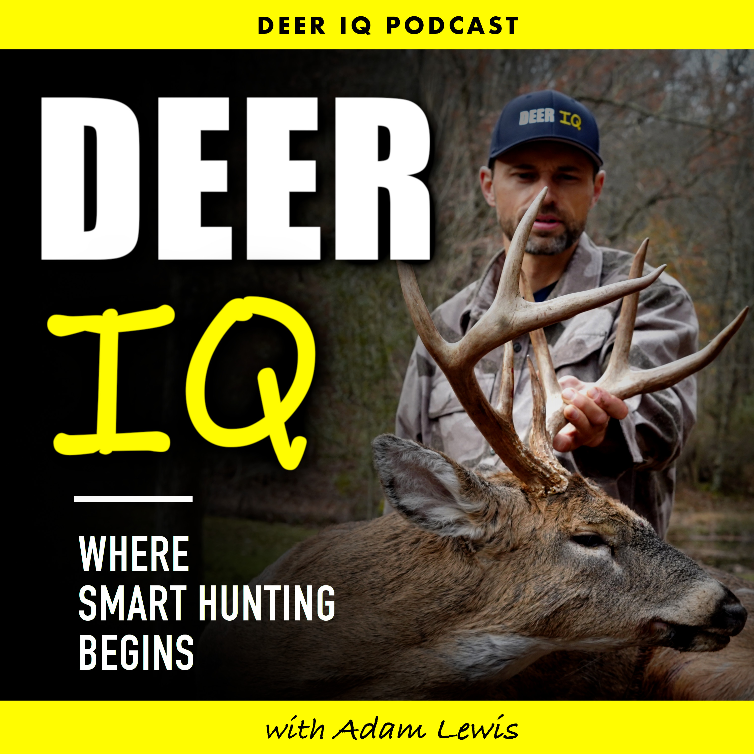 Deer IQ